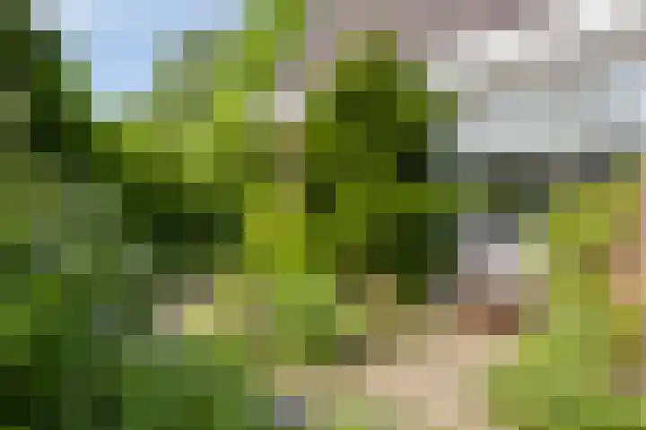 Korte Voren 11 Lochem thumbnail 48