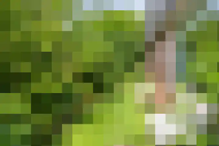Korte Voren 11 Lochem thumbnail 49