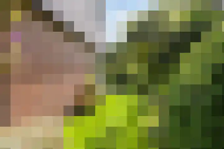 Korte Voren 11 Lochem thumbnail 50