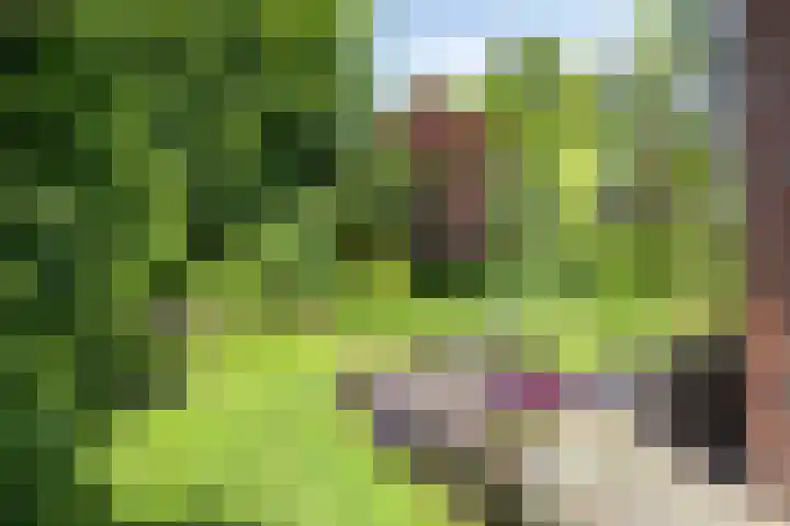 Korte Voren 11 Lochem thumbnail 51