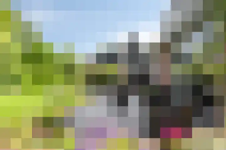 Korte Voren 11 Lochem thumbnail 52