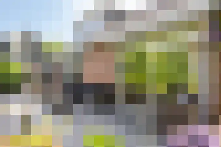 Korte Voren 11 Lochem thumbnail 53