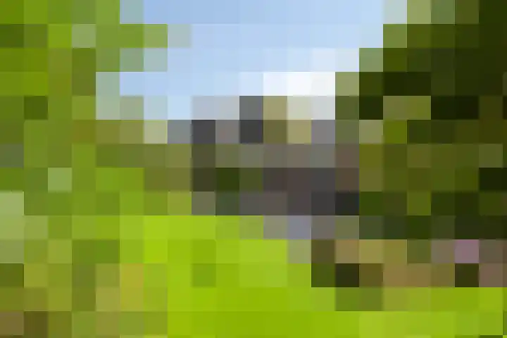 Korte Voren 11 Lochem thumbnail 54