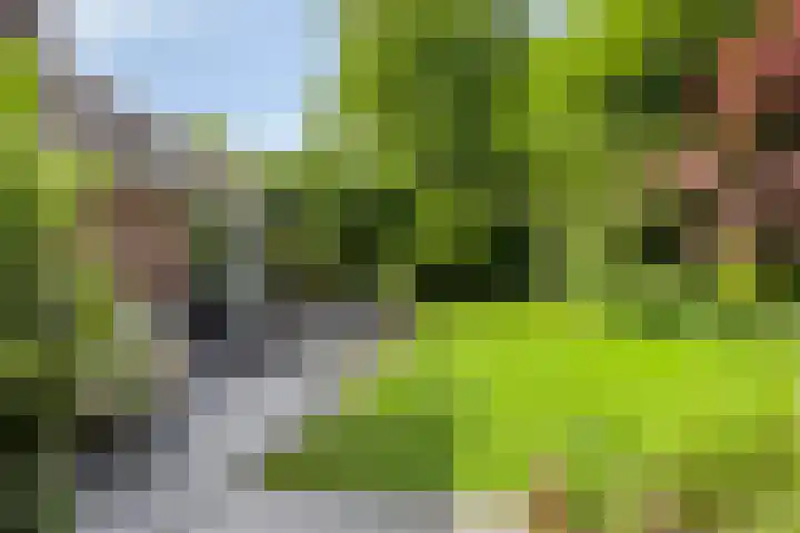 Korte Voren 11 Lochem thumbnail 55