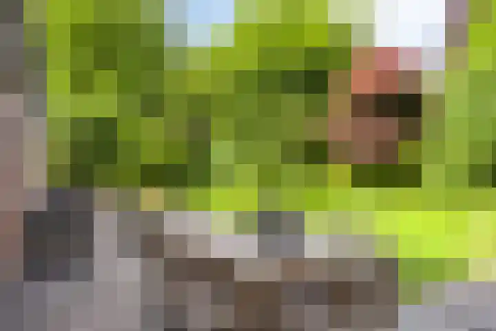 Korte Voren 11 Lochem thumbnail 56