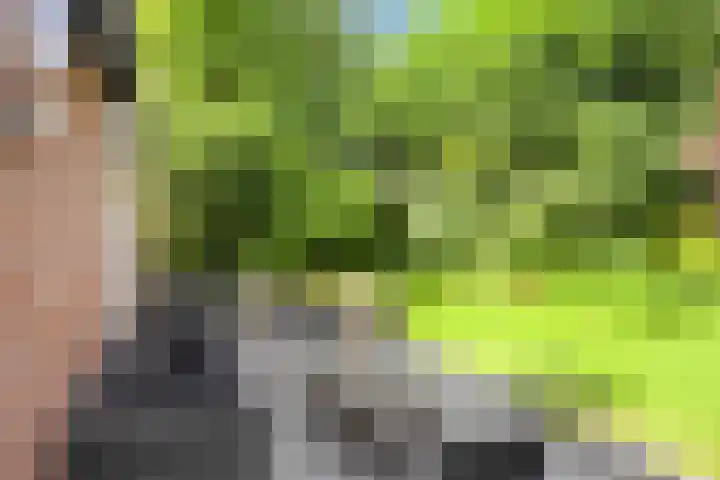 Korte Voren 11 Lochem thumbnail 57