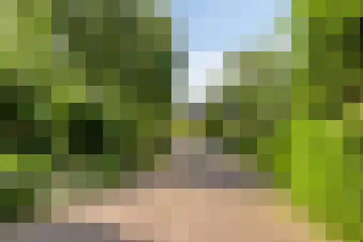 Korte Voren 11 Lochem thumbnail 6