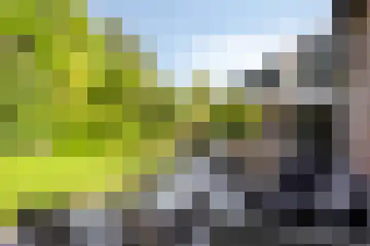 Korte Voren 11 Lochem thumbnail 60
