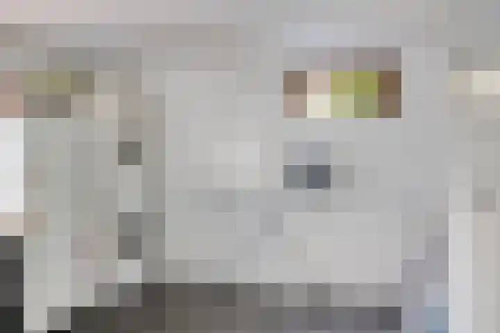 Korte Voren 11 Lochem thumbnail 62