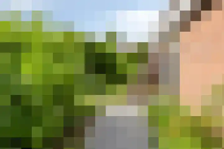 Korte Voren 11 Lochem thumbnail 9