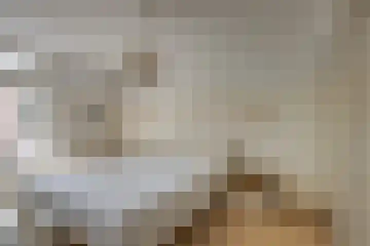 Korte Voren 7 Lochem thumbnail 13