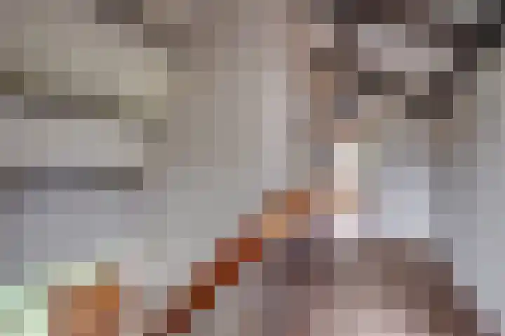 Korte Voren 7 Lochem thumbnail 18