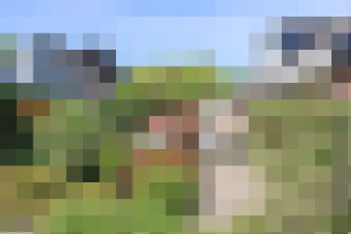 Korte Voren 7 Lochem thumbnail 24