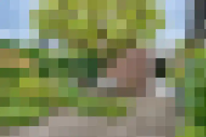 Korte Voren 7 Lochem thumbnail 26