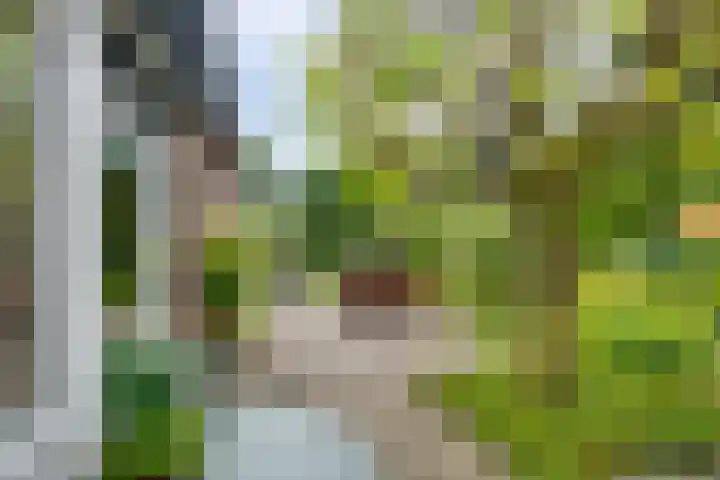 Korte Voren 7 Lochem thumbnail 28