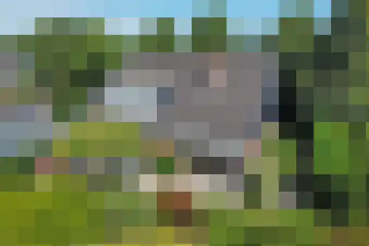 Korte Voren 7 Lochem foto 3