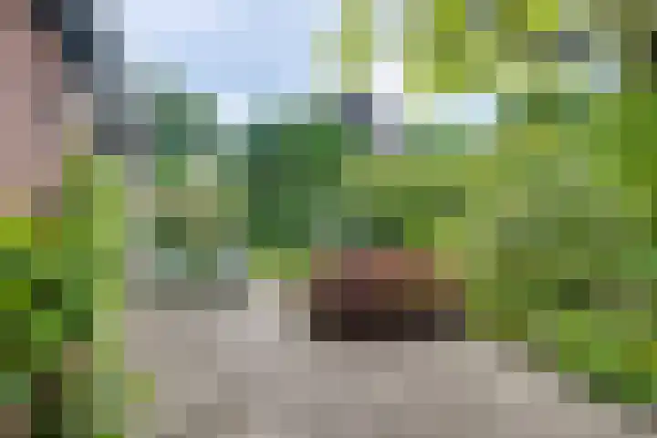 Korte Voren 7 Lochem thumbnail 4