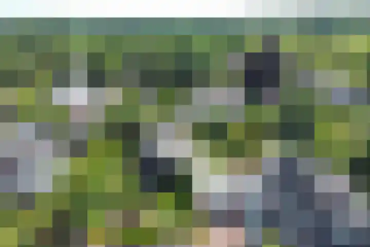 Korte Voren 7 Lochem thumbnail 5