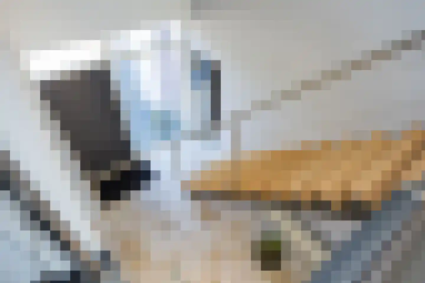 Korte Voren 9 Lochem thumbnail 31