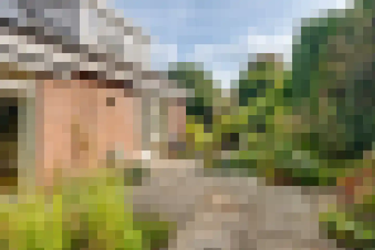 Korte Voren 9 Lochem thumbnail 45
