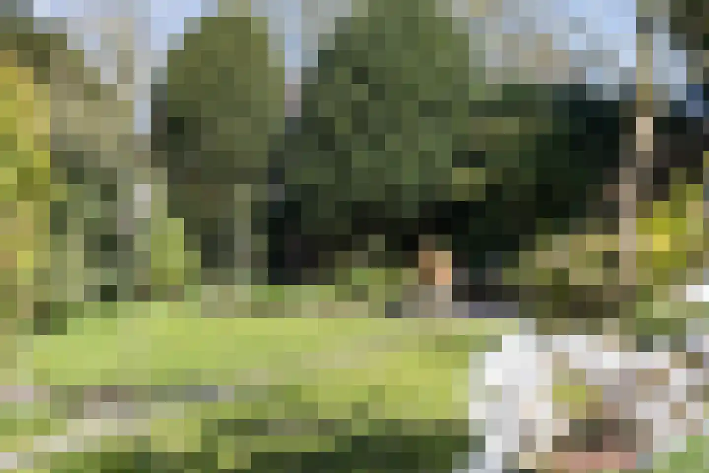 Korte Voren 9 Lochem thumbnail 47