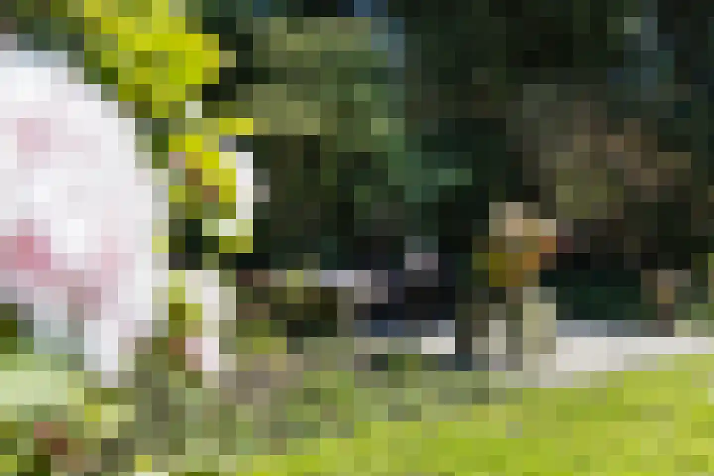 Korte Voren 9 Lochem thumbnail 48