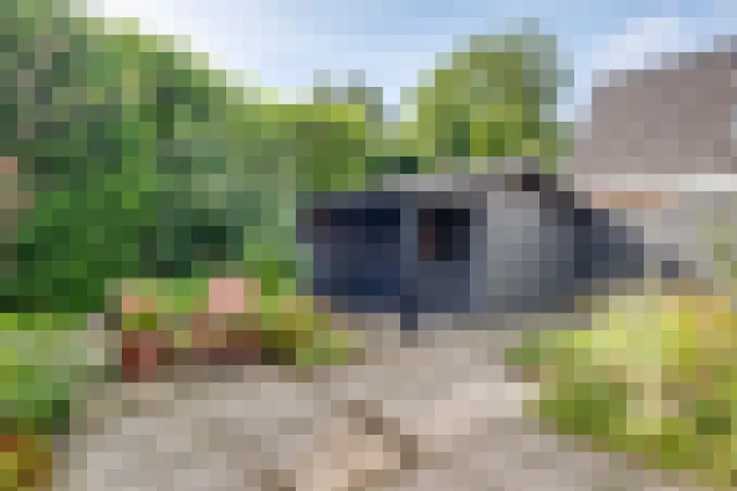 Korte Voren 9 Lochem thumbnail 48