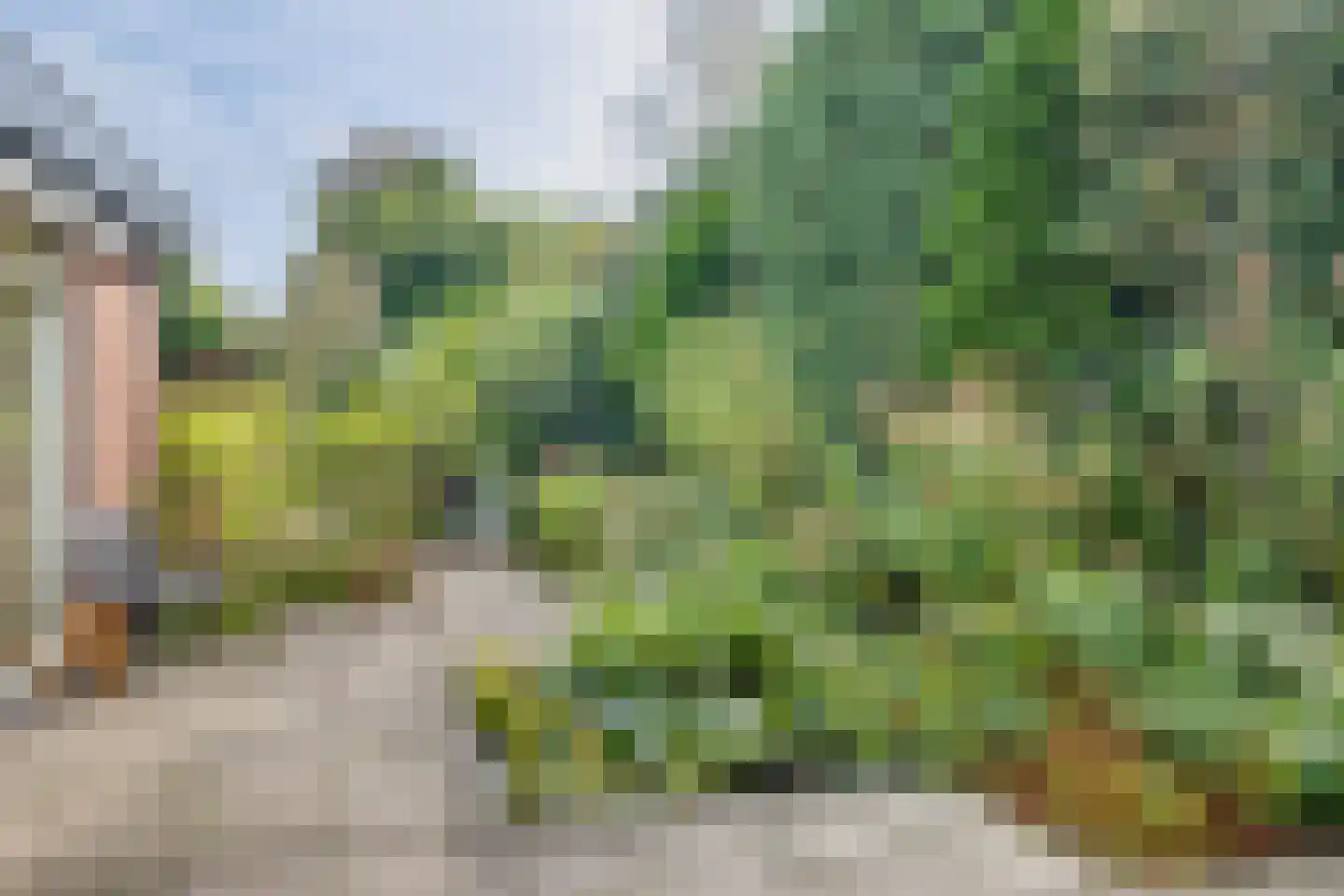 Korte Voren 9 Lochem thumbnail 49