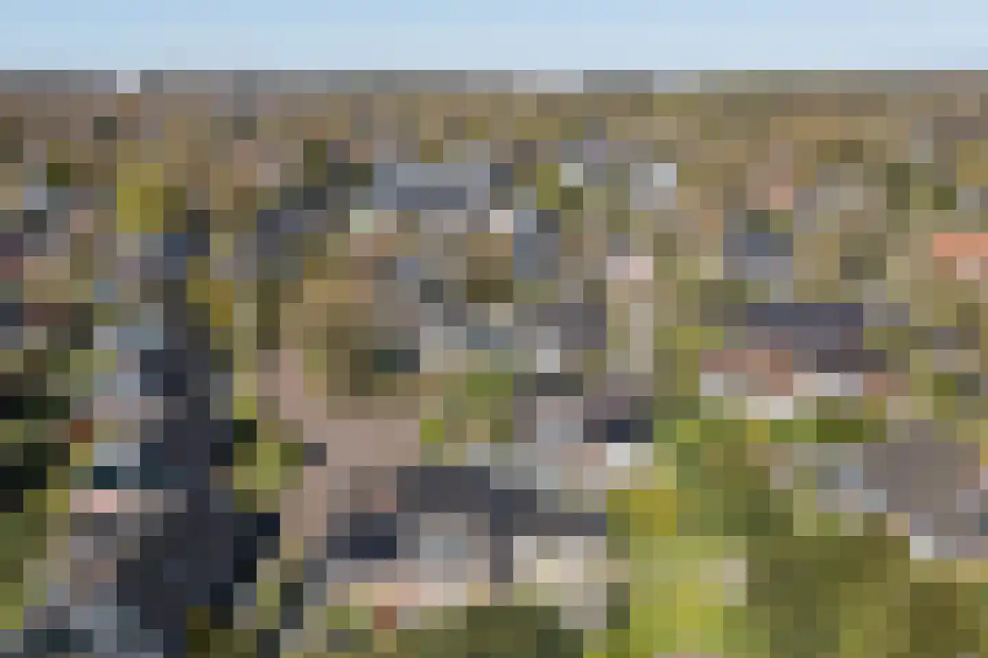 Korte Voren 9 Lochem thumbnail 53