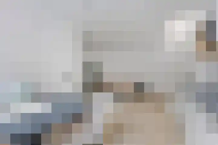 Korte Vorststraat 29 Goes thumbnail 7