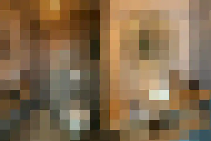 Korte Vorststraat 46 Goes thumbnail 17