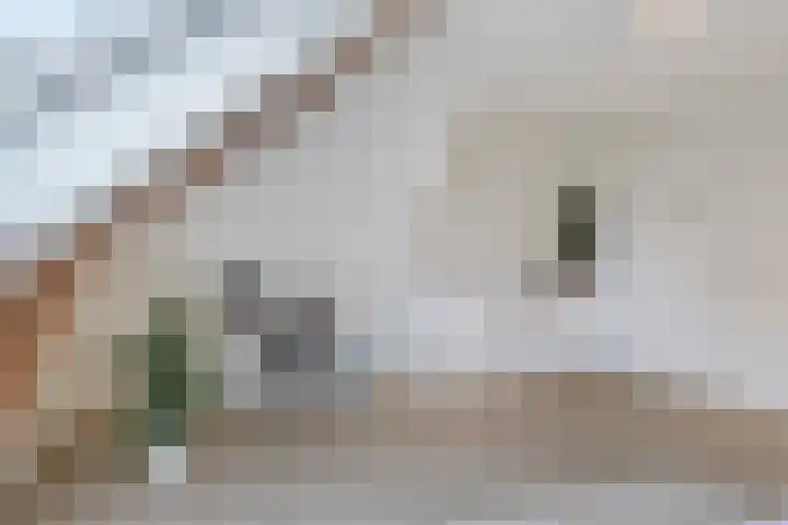 Korte Vorststraat 46 Goes thumbnail 21