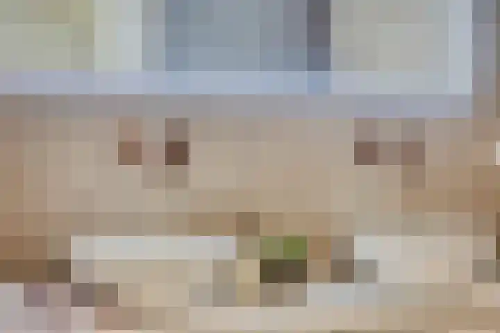Korte Vorststraat 46 Goes thumbnail 24