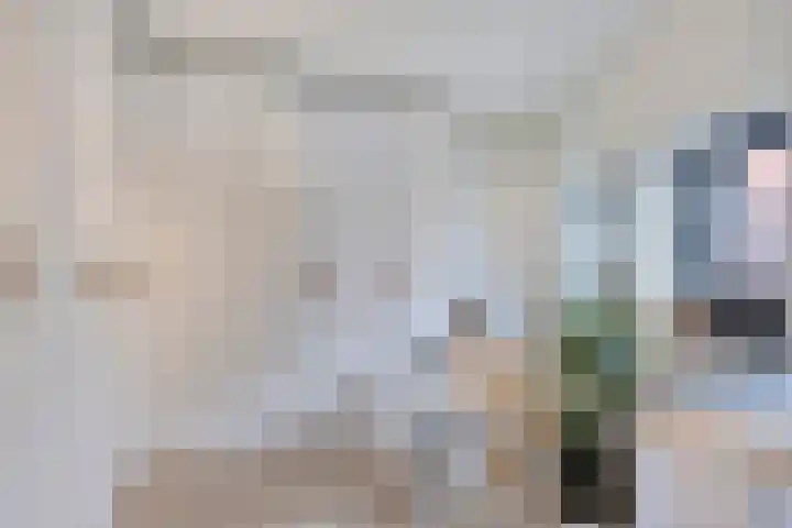 Korte Vorststraat 46 Goes thumbnail 27