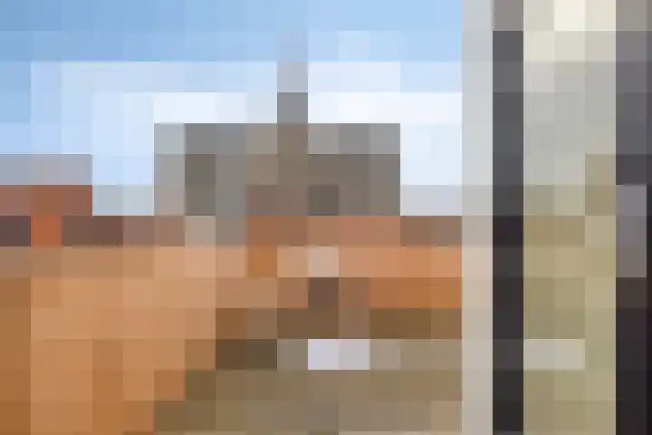 Korte Vorststraat 46 Goes thumbnail 31