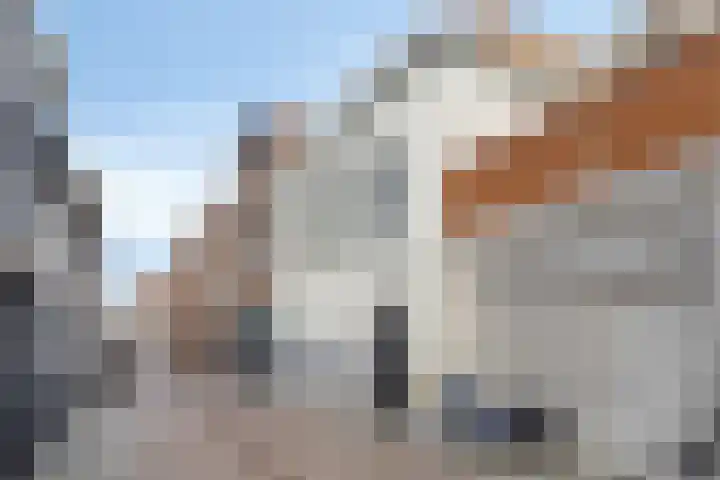 Korte Vorststraat 46 Goes thumbnail 4