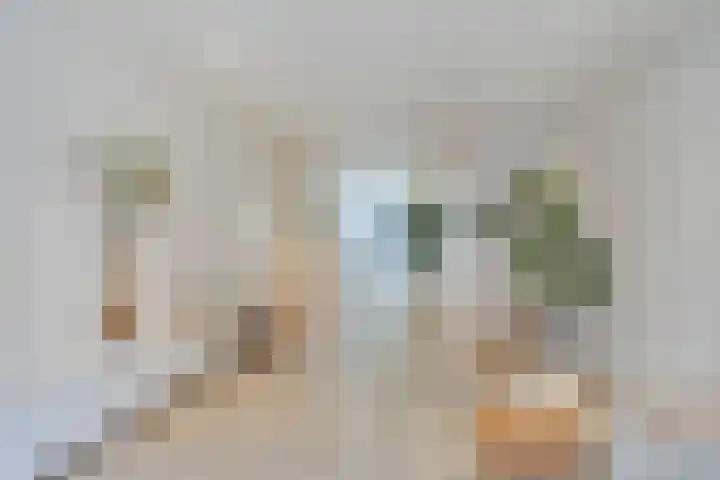 Korte Vorststraat 46 Goes thumbnail 7