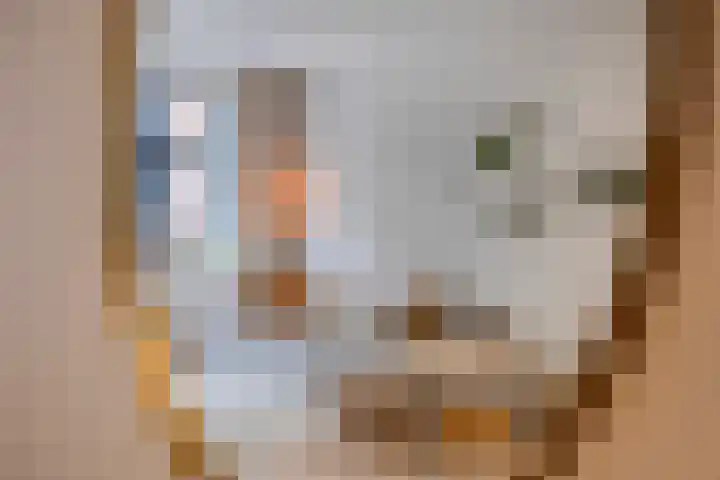 Korte Vorststraat 46 Goes thumbnail 9