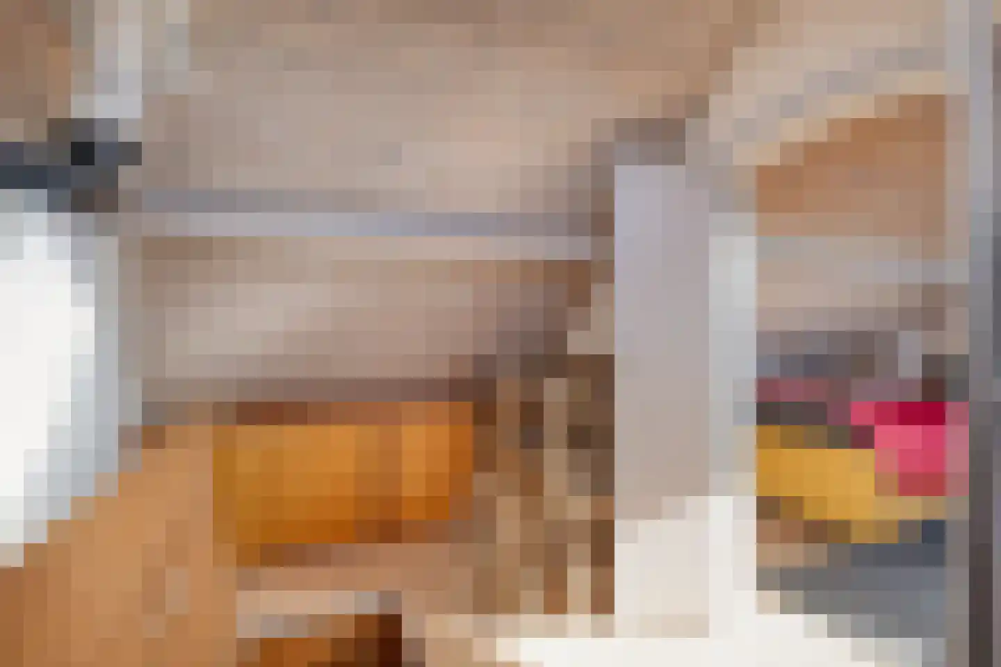 Korte Waarder 11 Nieuwerbrug aan den Rijn thumbnail 22