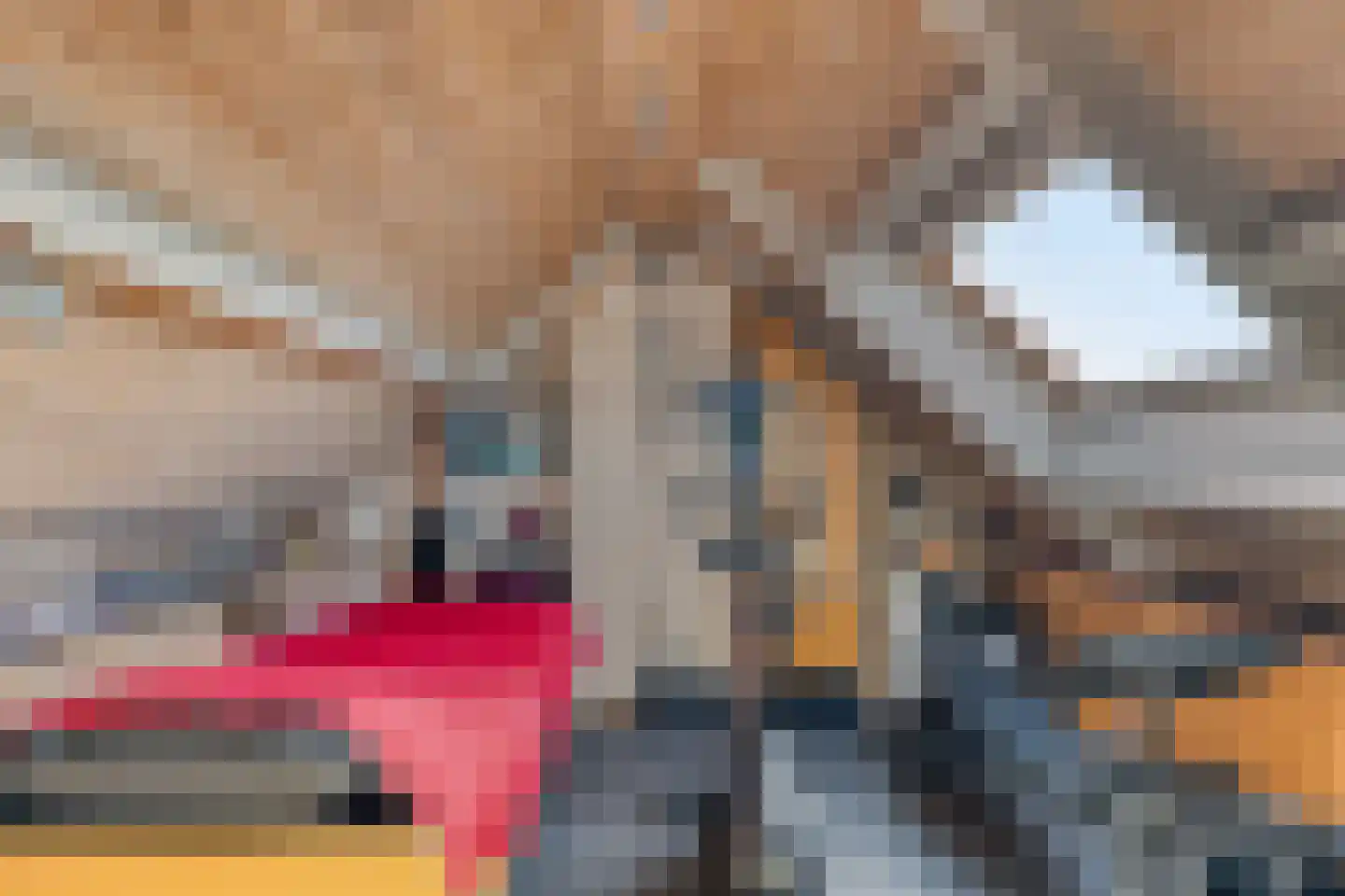 Korte Waarder 11 Nieuwerbrug aan den Rijn thumbnail 23
