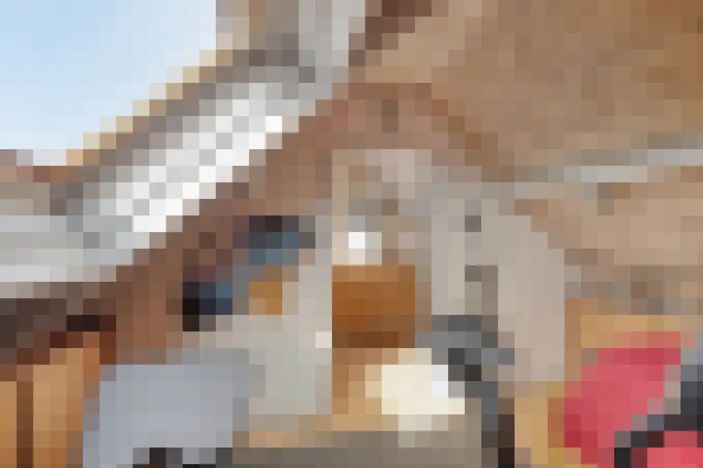Korte Waarder 11 Nieuwerbrug aan den Rijn thumbnail 24
