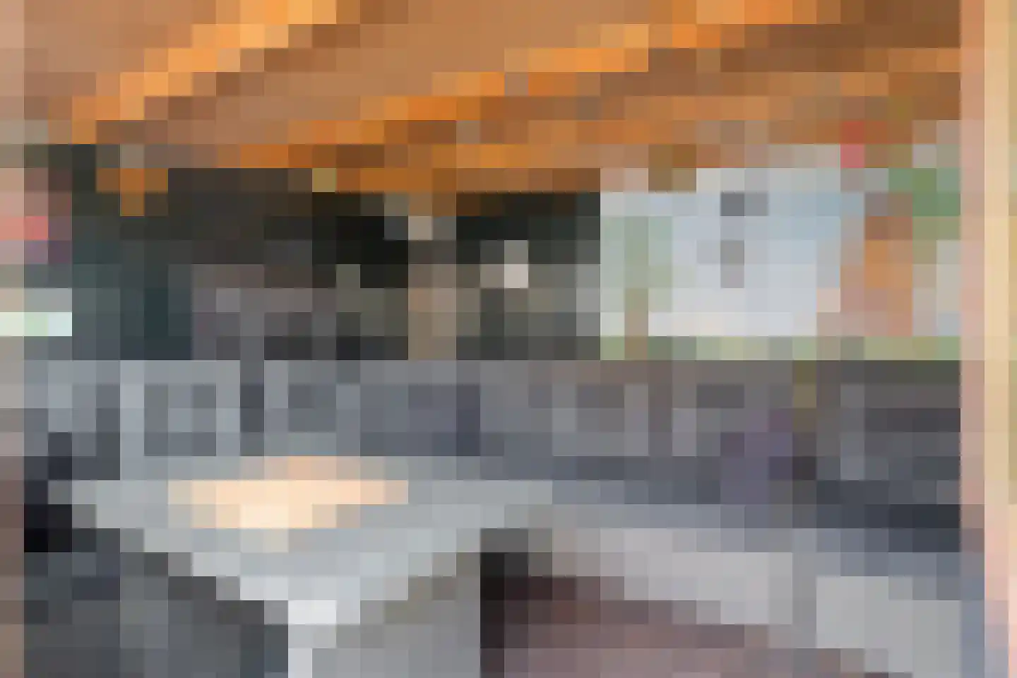 Korte Waarder 11 Nieuwerbrug aan den Rijn thumbnail 27