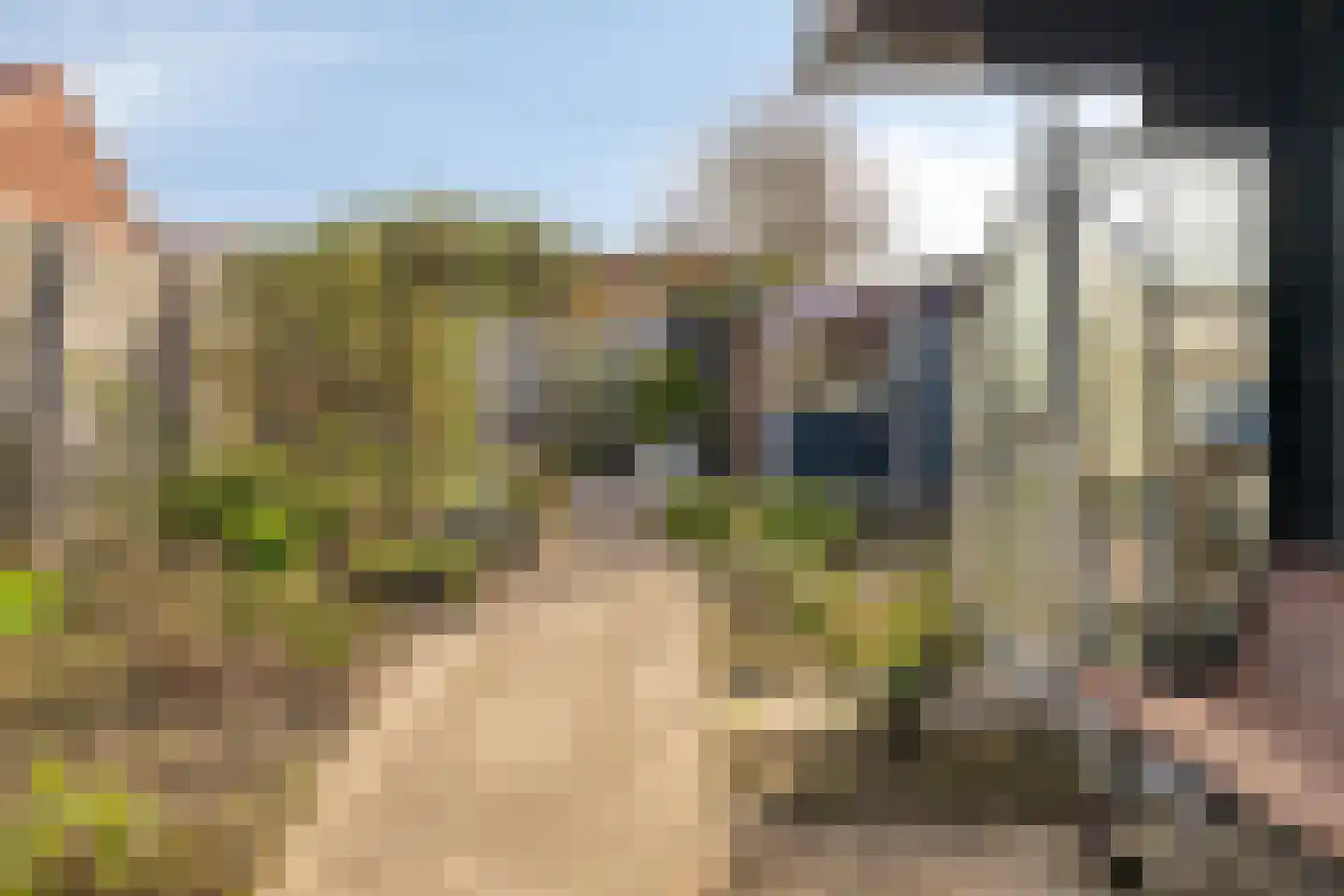 Korte Waarder 11 Nieuwerbrug aan den Rijn thumbnail 33