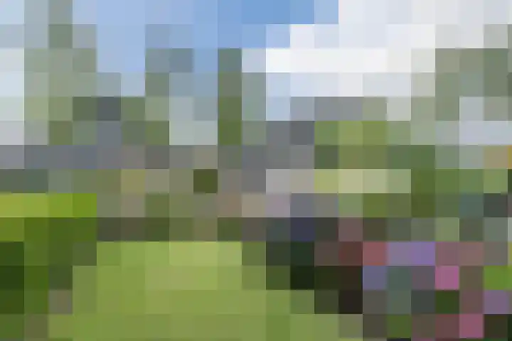 Korte Waarder 13 Nieuwerbrug aan den Rijn thumbnail 36