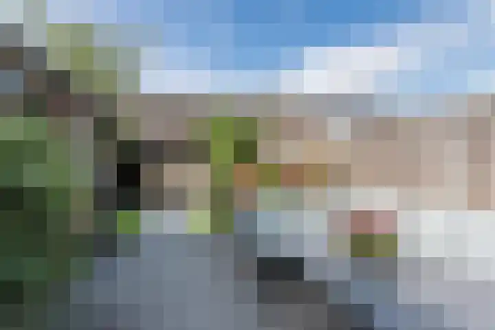 Korte Waarder 13 Nieuwerbrug aan den Rijn thumbnail 6