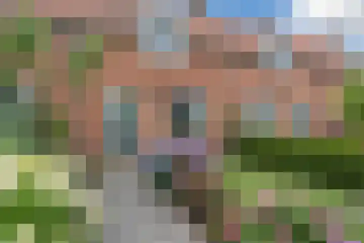 Korte Waarder 13 Nieuwerbrug aan den Rijn thumbnail 7