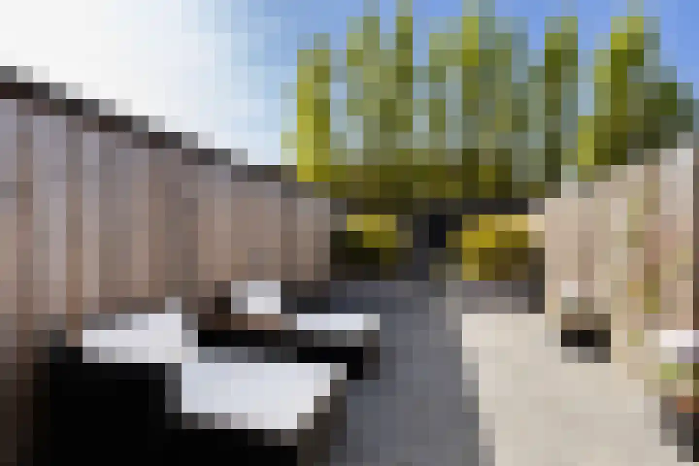 Korte Waarder 3 Nieuwerbrug aan den Rijn thumbnail 17