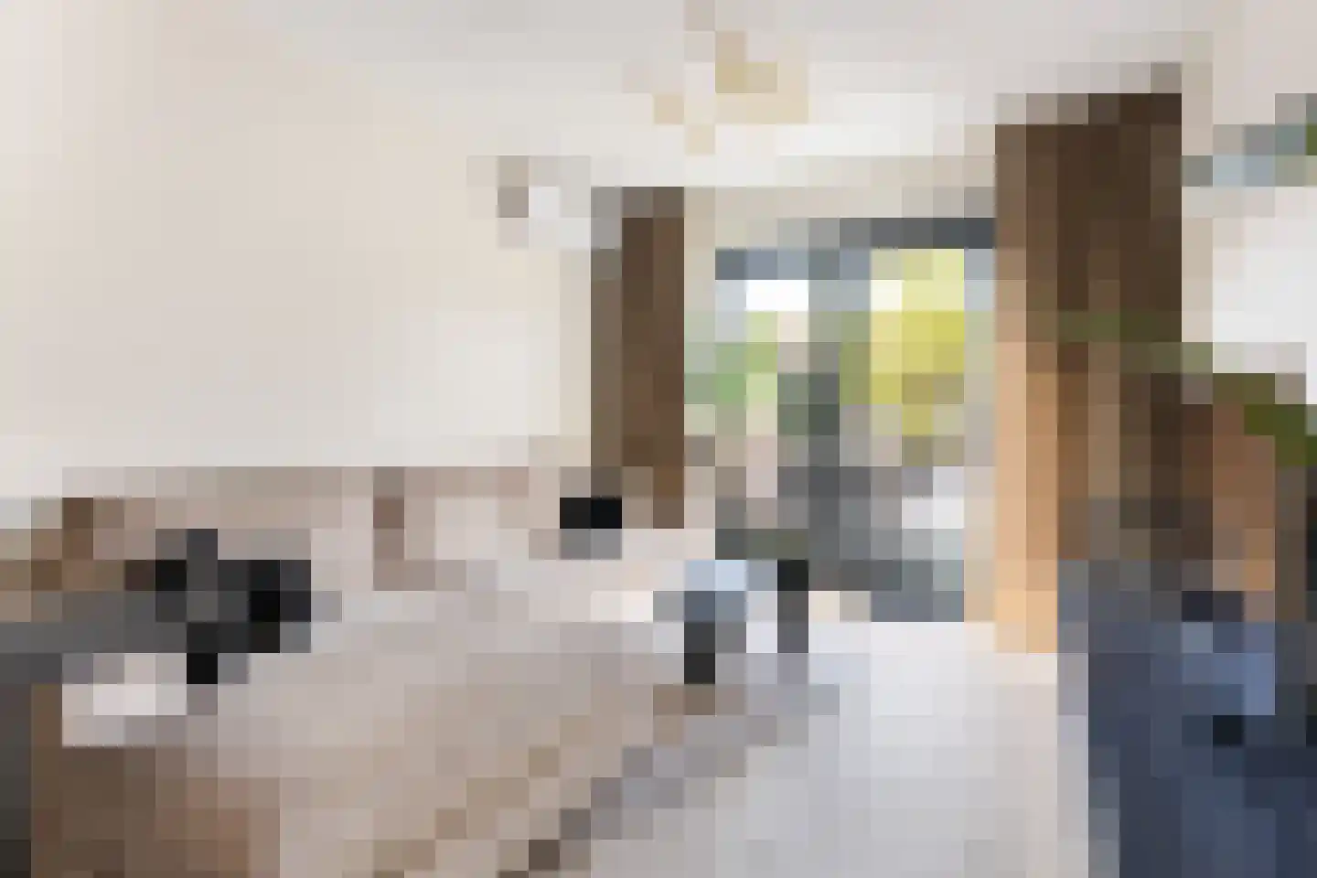 Korte Waarder 3 Nieuwerbrug aan den Rijn thumbnail 8