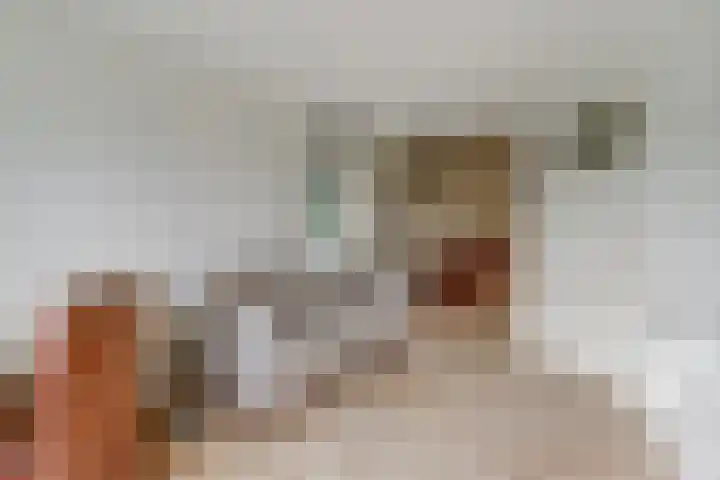 Korte Waarder 30 Nieuwerbrug aan den Rijn thumbnail 32