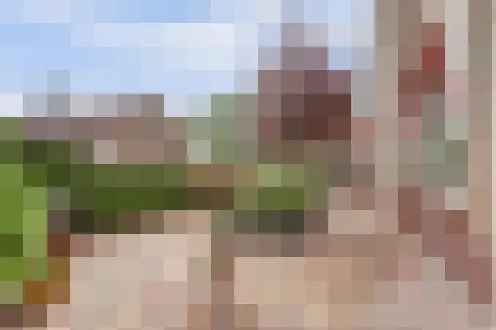 Korte Waarder 30 Nieuwerbrug aan den Rijn thumbnail 48